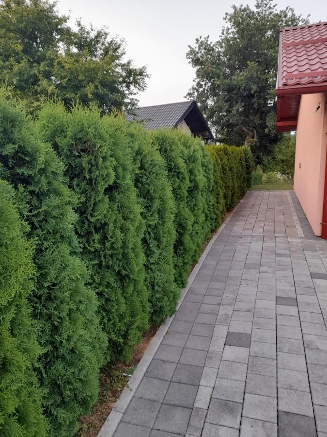 Villa Usivak For Green Quiet Holiday Near Sarajevo#Travellerawards2025 Экстерьер фото