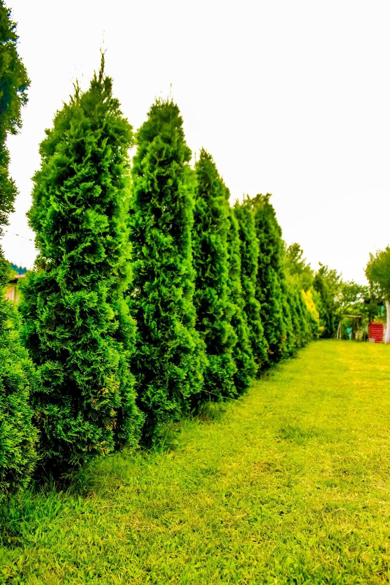 Villa Usivak For Green Quiet Holiday Near Sarajevo#Travellerawards2025 Экстерьер фото